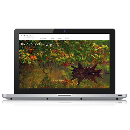 Image of a laptop open showing an artist's online porfolio designed by bond creative group.